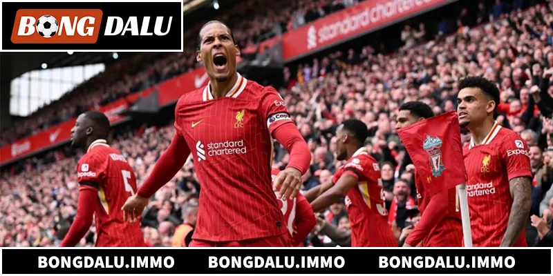 Khám phá quá trình nhận định Liverpool