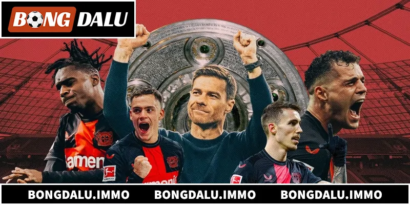 Khám phá toàn bộ về soi kèo Bundesliga