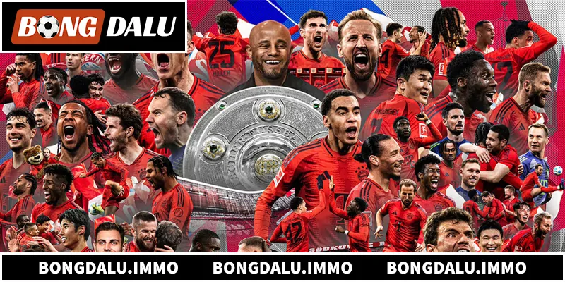 Soi Kèo Bundesliga - Phân Tích Tỷ Lệ Chuẩn Xác Mỗi Vòng Đấu