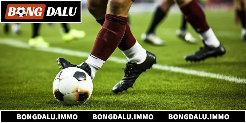 Tìm hiểu chi tiết về nền tảng 1gom