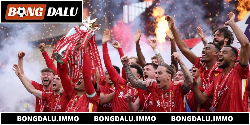 Tìm hiểu quy trình nhận định Liverpool