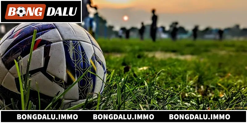 Tìm hiểu về nhà cái Bong88