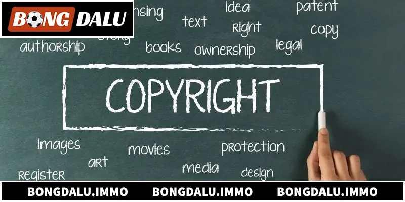 Tổng quan về bản quyền BongDaLu